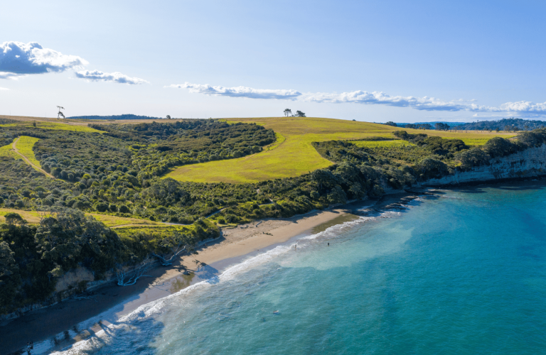 Screen Auckland - Locations - Coast and water