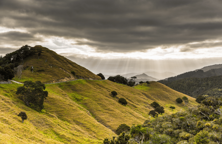 Screen Auckland - Locations - Rural and farmland