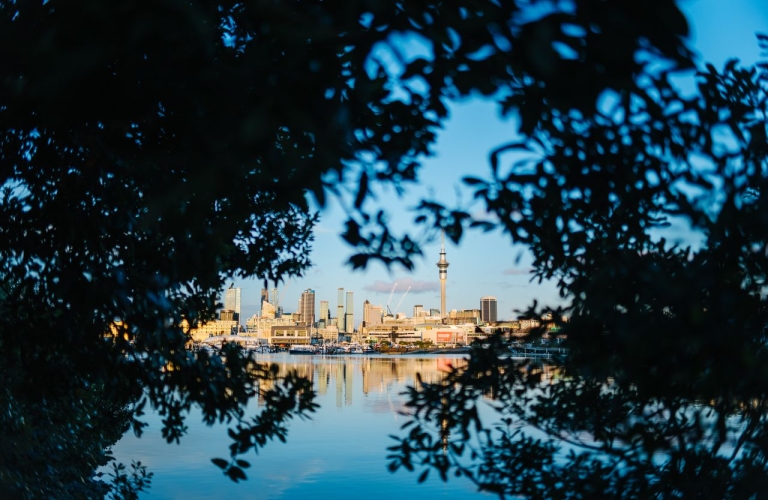 auckland city view from westhaven