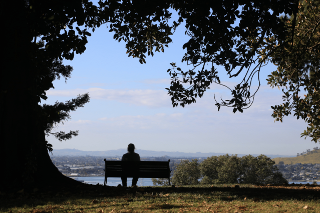 Screen Auckland - Before you film - Apply for a film permit - Before you apply